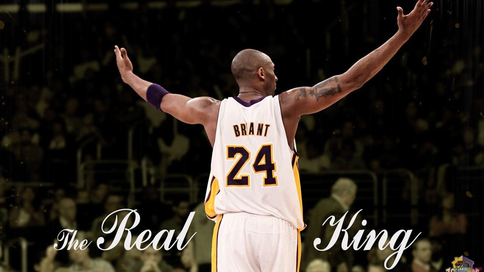 JackeyLove新星战术调整表现突出，TES前途光明！热度持续攀升